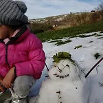 Eckele 3*