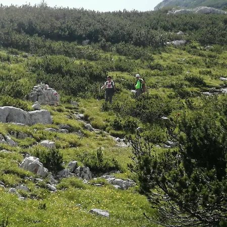 Frühstückspension Eckele