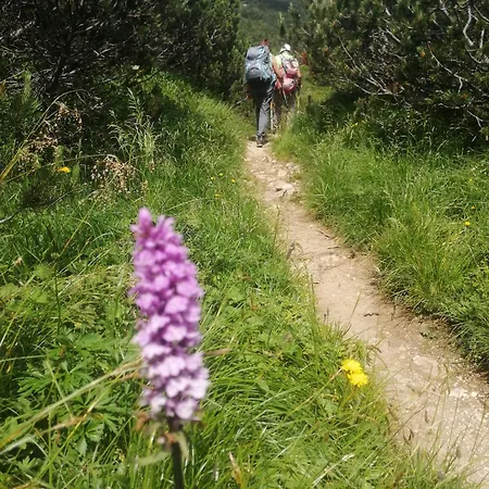 Frühstückspension Eckele 3*