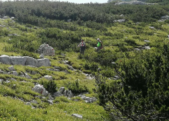 Bed and breakfast Eckele