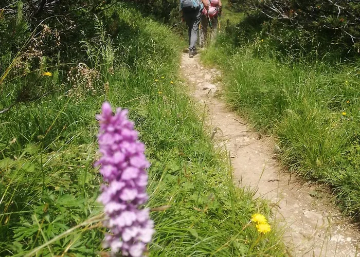 Bed & Breakfast Eckele 3*